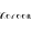 Xocoon