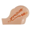 Realistic Masturbator With Bullet Crazy Bull Kylie Vagina and Anal Nude Realistic Masturbator With Bullet Crazy Bull Kylie Vagina and Anal Nude