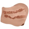 Realistic Masturbator With Bullet Crazy Bull Mila Vagina and Anal Brown Realistic Masturbator With Bullet Crazy Bull Mila Vagina and Anal Brown