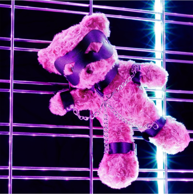 Crushito Bondage Fetish Teddy Bear