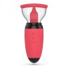 Clitoral Vibrator with Suction Crushious Scarlet Red Crushious Clitoral Vibrator with Suction Crushious Scarlet Red Clit Toys