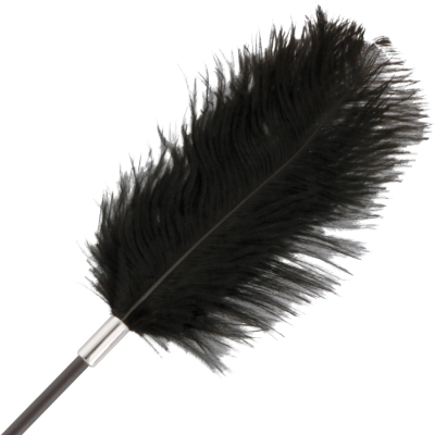 Feather Crop Darkness Black Feather Crop Darkness Black