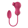 Dual Clitoral Vibrator Dreamtoys with Vibrating Egg Pink Dual Clitoral Vibrator Dreamtoys with Vibrating Egg Pink
