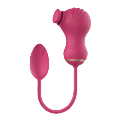 Dual Clitoral Vibrator Dreamtoys with Vibrating Egg Pink