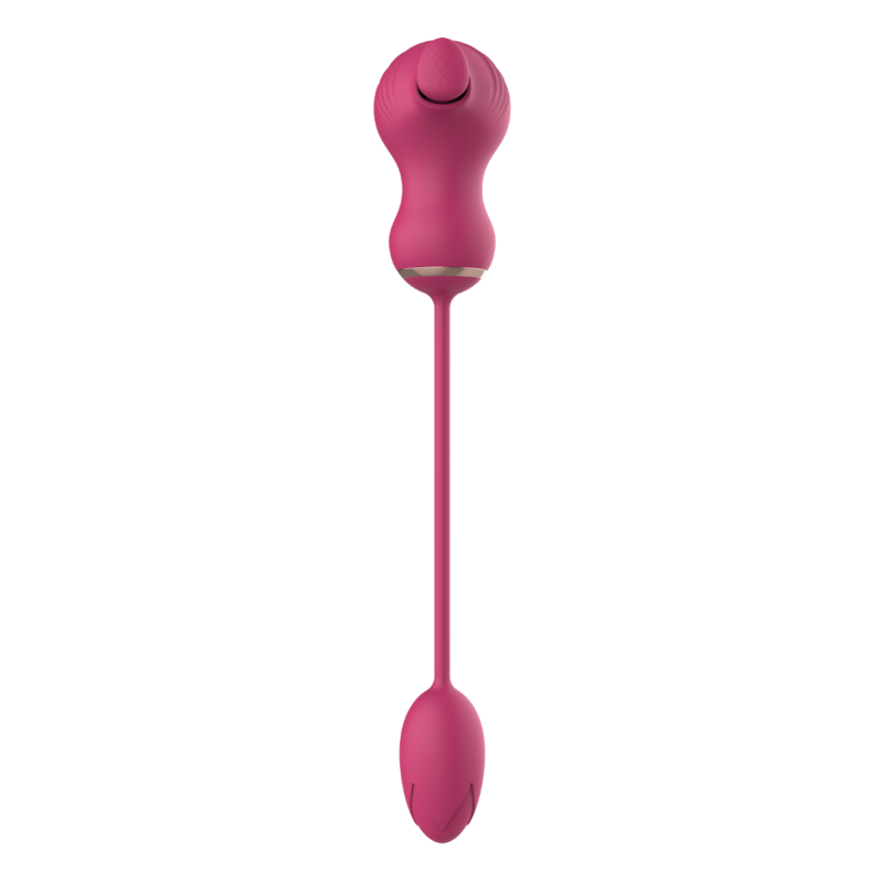 Dual Clitoral Vibrator Dreamtoys with Vibrating Egg Pink Dual Clitoral Vibrator Dreamtoys with Vibrating Egg Pink