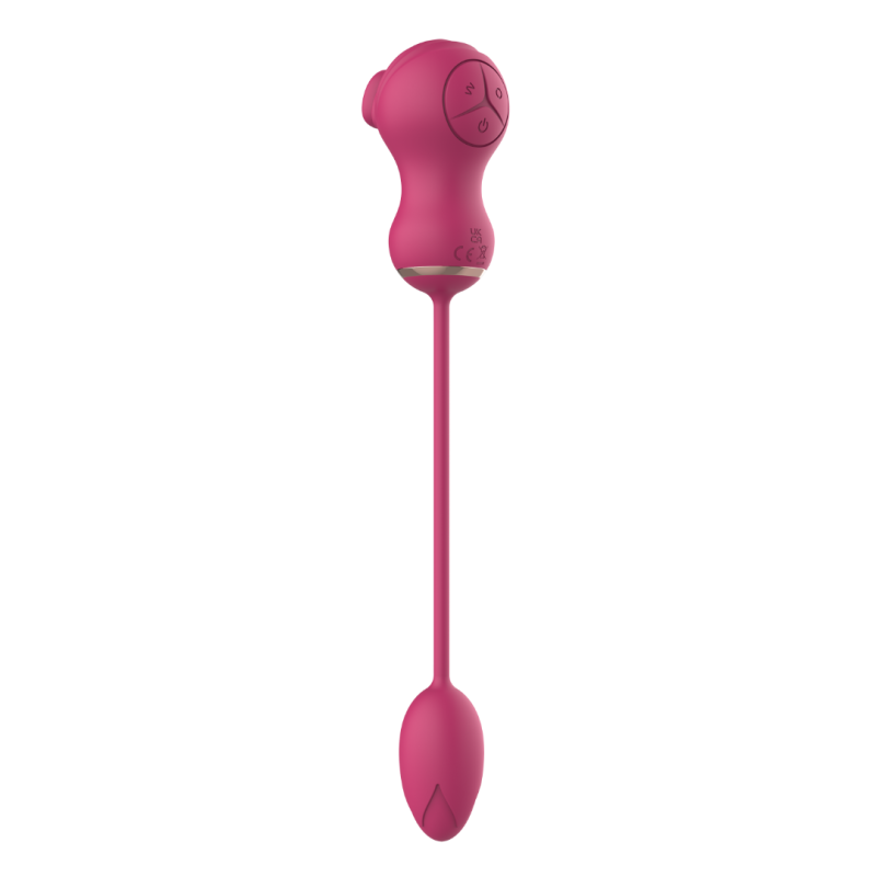 Dual Clitoral Vibrator Dreamtoys with Vibrating Egg Pink Dual Clitoral Vibrator Dreamtoys with Vibrating Egg Pink