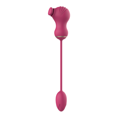 Dual Clitoral Vibrator Dreamtoys with Vibrating Egg Pink Dual Clitoral Vibrator Dreamtoys with Vibrating Egg Pink