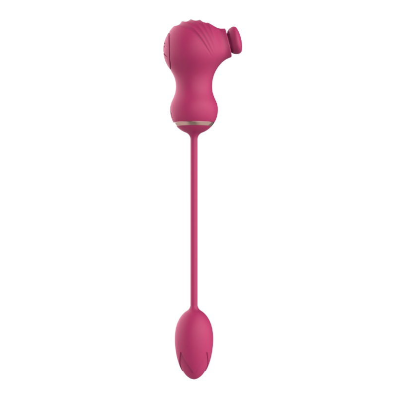 Dual Clitoral Vibrator Dreamtoys with Vibrating Egg Pink Dual Clitoral Vibrator Dreamtoys with Vibrating Egg Pink