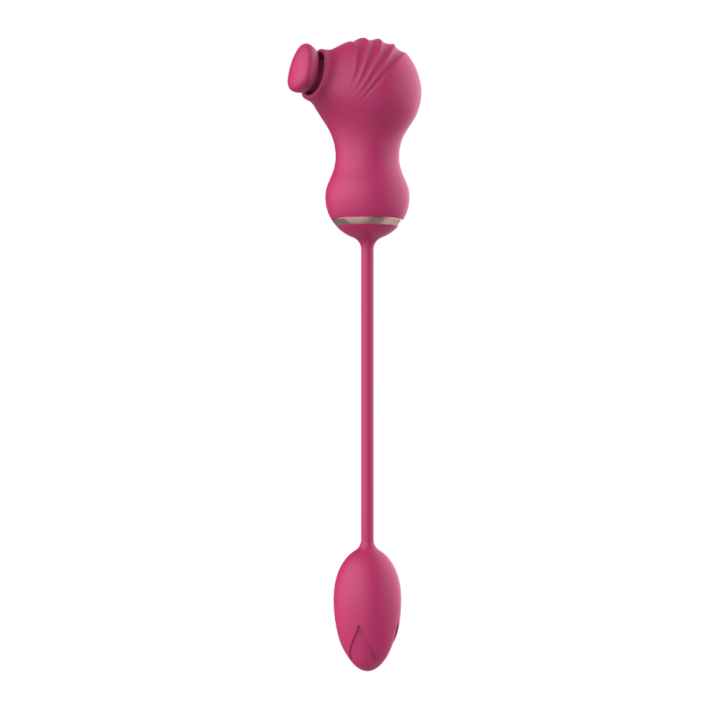 Dual Clitoral Vibrator Dreamtoys with Vibrating Egg Pink Dual Clitoral Vibrator Dreamtoys with Vibrating Egg Pink
