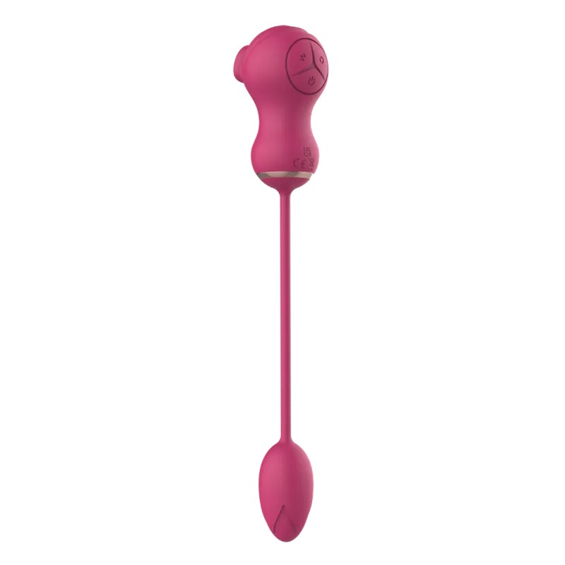 Dual Clitoral Vibrator Dreamtoys with Vibrating Egg Pink Dual Clitoral Vibrator Dreamtoys with Vibrating Egg Pink