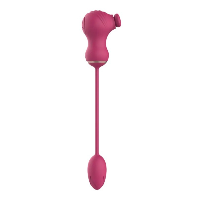 Dual Clitoral Vibrator Dreamtoys with Vibrating Egg Pink Dual Clitoral Vibrator Dreamtoys with Vibrating Egg Pink