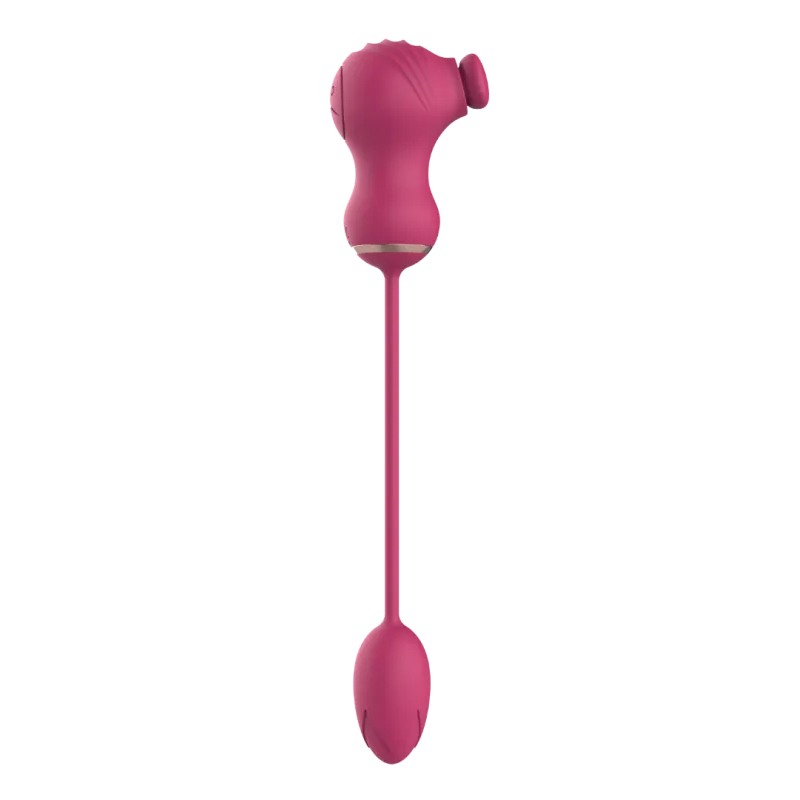 Dual Clitoral Vibrator Dreamtoys with Vibrating Egg Pink Dual Clitoral Vibrator Dreamtoys with Vibrating Egg Pink