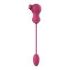 Dual Clitoral Vibrator Dreamtoys with Vibrating Egg Pink Dual Clitoral Vibrator Dreamtoys with Vibrating Egg Pink