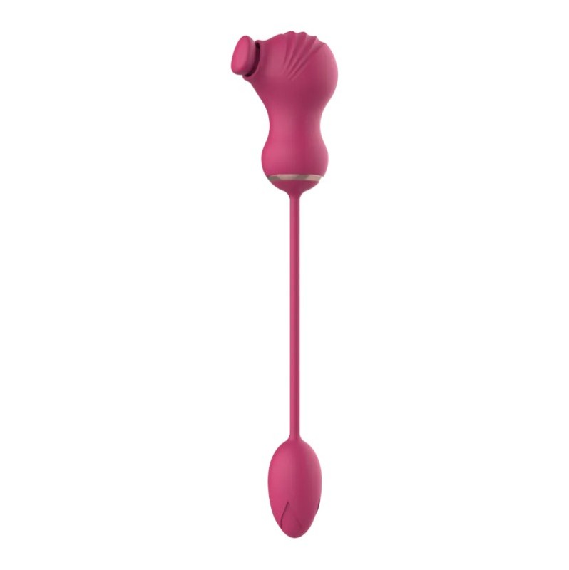 Dual Clitoral Vibrator Dreamtoys with Vibrating Egg Pink Dual Clitoral Vibrator Dreamtoys with Vibrating Egg Pink