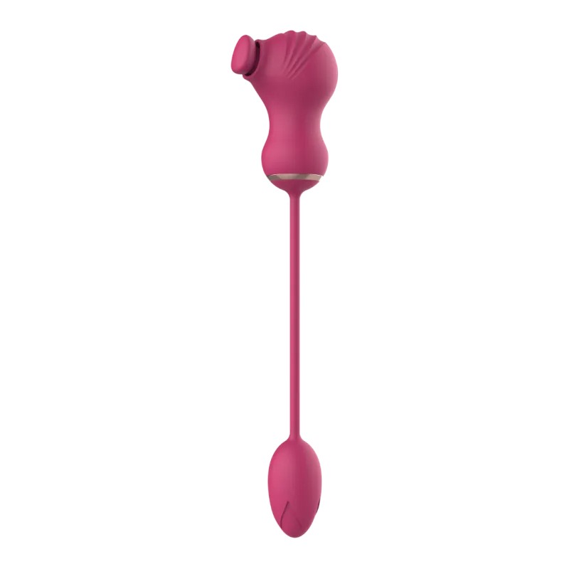 Dual Clitoral Vibrator Dreamtoys with Vibrating Egg Pink Dual Clitoral Vibrator Dreamtoys with Vibrating Egg Pink