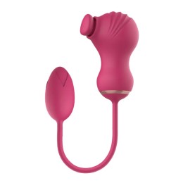 Dual Clitoral Vibrator Dreamtoys with Vibrating Egg Pink