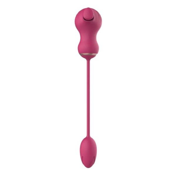 Dual Clitoral Vibrator Dreamtoys with Vibrating Egg Pink