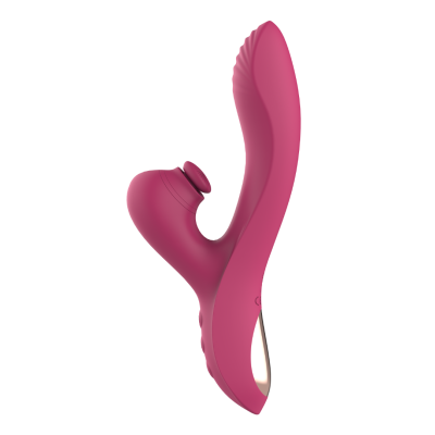 Rabbit Vibrator Dreamtoys with Suction Dual G-Spot Essentials Pink