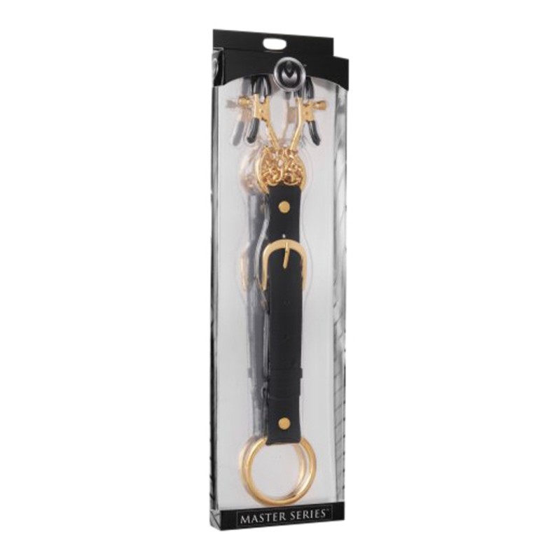 Penitentiary Nipple Clamps and Cock Ring Set Master Series 