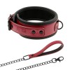 Collar & Leash Fetish Submissive Red