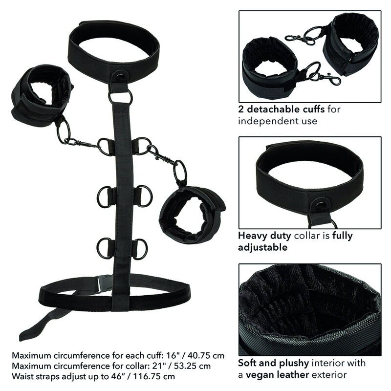 CalExotics Collar Body Restraint Boundless CalExotics Black Restraints