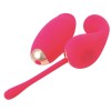 Dreamlove Vibrating G-Spot Egg With Remote Treasure Iowa Pink Vibrating Eggs