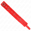 Collar & Leash KINK Red