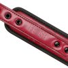 Collar & Leash Fetish Submissive Red