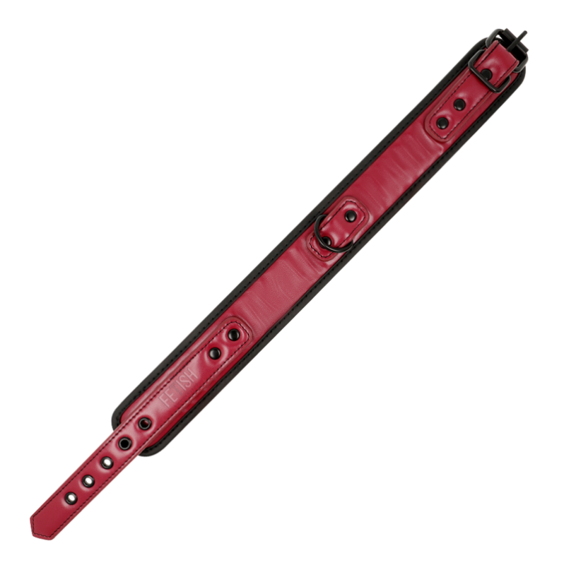 Collar & Leash Fetish Submissive Red