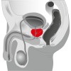 Anal Vibrator You2Toys Prostate Twister Black