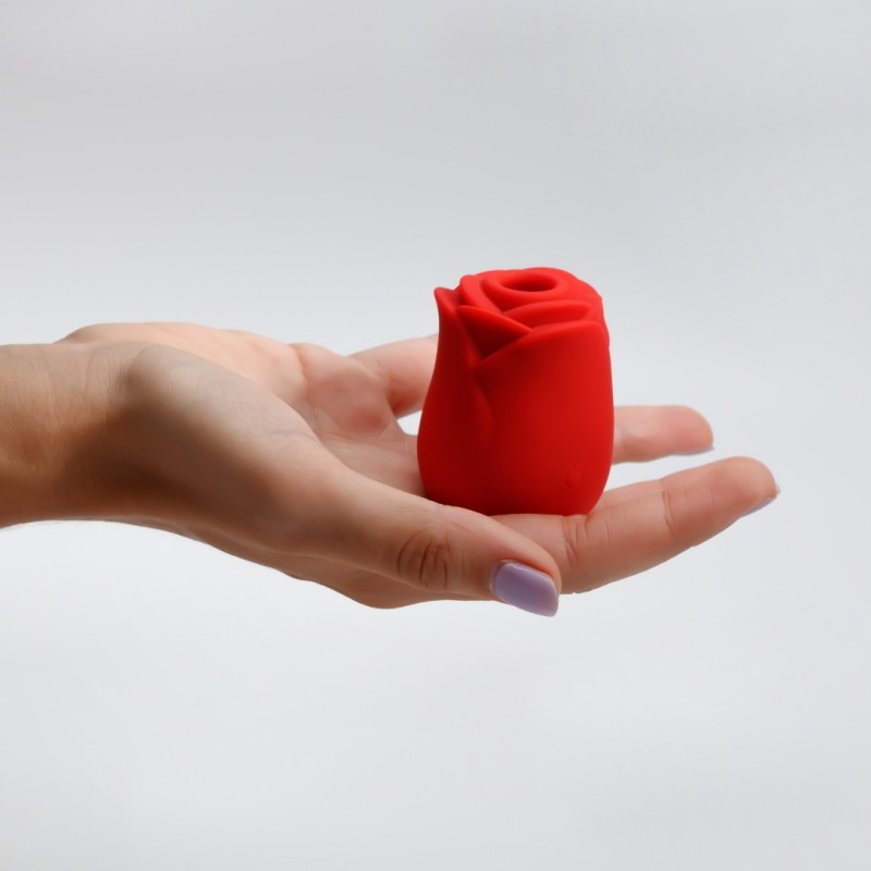 Κλειτοριδικός Δονητής Τριαντάφυλλο Crushious Rosita Ροζ