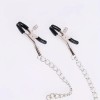 Classic Nipple Clamps With Chain Flirting Black