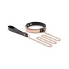 BDSM Fetish Kit Rosy Gold Nouveau BDSM Set BDSM Fetish Kit Rosy Gold Nouveau BDSM Set