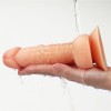 Ρεαλιστικό Dildo Lovetoy Ultra Soft 18cm Μπεζ Lovetoy Ρεαλιστικό Dildo Lovetoy Ultra Soft 18cm Μπεζ Ρεαλιστικά