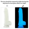 Lovetoy Jelly Dildo Lovetoy Lumino Play 19cm Διαφανές Jelly
