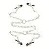 Love Market Nipple and Labia Clamps Love Market Silver Nipple Clamps