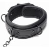 Collared Temptress Necklace with Nipple Clamps Master Series Black