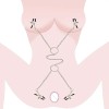 Nipple and Labia Clamps Love Market Silver