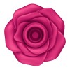 Clitoral Vibrator Satisfyer Pro 2 Classic Blossom Pink Satisfyer Clitoral Vibrator Satisfyer Pro 2 Classic Blossom Pink Clit Toys