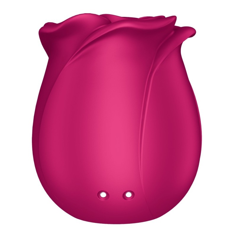 Κλειτοριδικός Δονητής Satisfyer Pro 2 Classic Blossom Ροζ