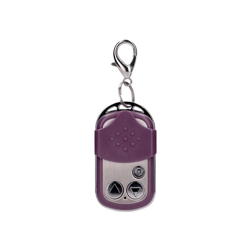 Small Vibrating G-Spot Egg With Remote Shots Purple