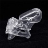 Passion Labs Κλουβί Πέους Cock Trainer Passion Labs Διαφανές Cock Cages