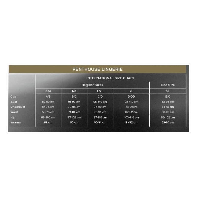 Penthouse Ανοιχτό Σλιπ Penthouse Too Hot To Be Real Μαύρο Κιλοτάκια