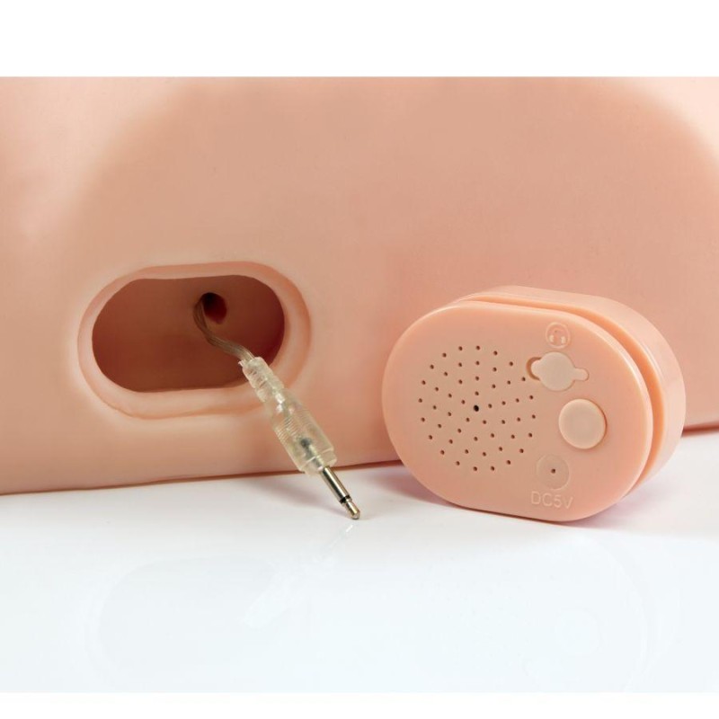 Realistic Masturbator PDX Male Dirty Talk Interactive Fuck Him Silly Nude