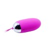 Pretty Love Vibrating Egg Pretty Love Berger Pink Vibrating Eggs
