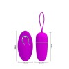 Vibrating Egg Pretty Love Bradley Purple