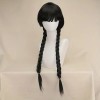 Long Wig with Braids Black