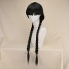 Long Wig with Braids Black