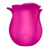 Clitoral Vibrator Satisfyer Pro 2 Classic Blossom Pink Satisfyer Clitoral Vibrator Satisfyer Pro 2 Classic Blossom Pink Clit Toys