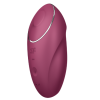 Clitoral Vibrator Satisfyer Tap & Climax 1 Burgundy Satisfyer Clitoral Vibrator Satisfyer Tap & Climax 1 Burgundy Clit Toys